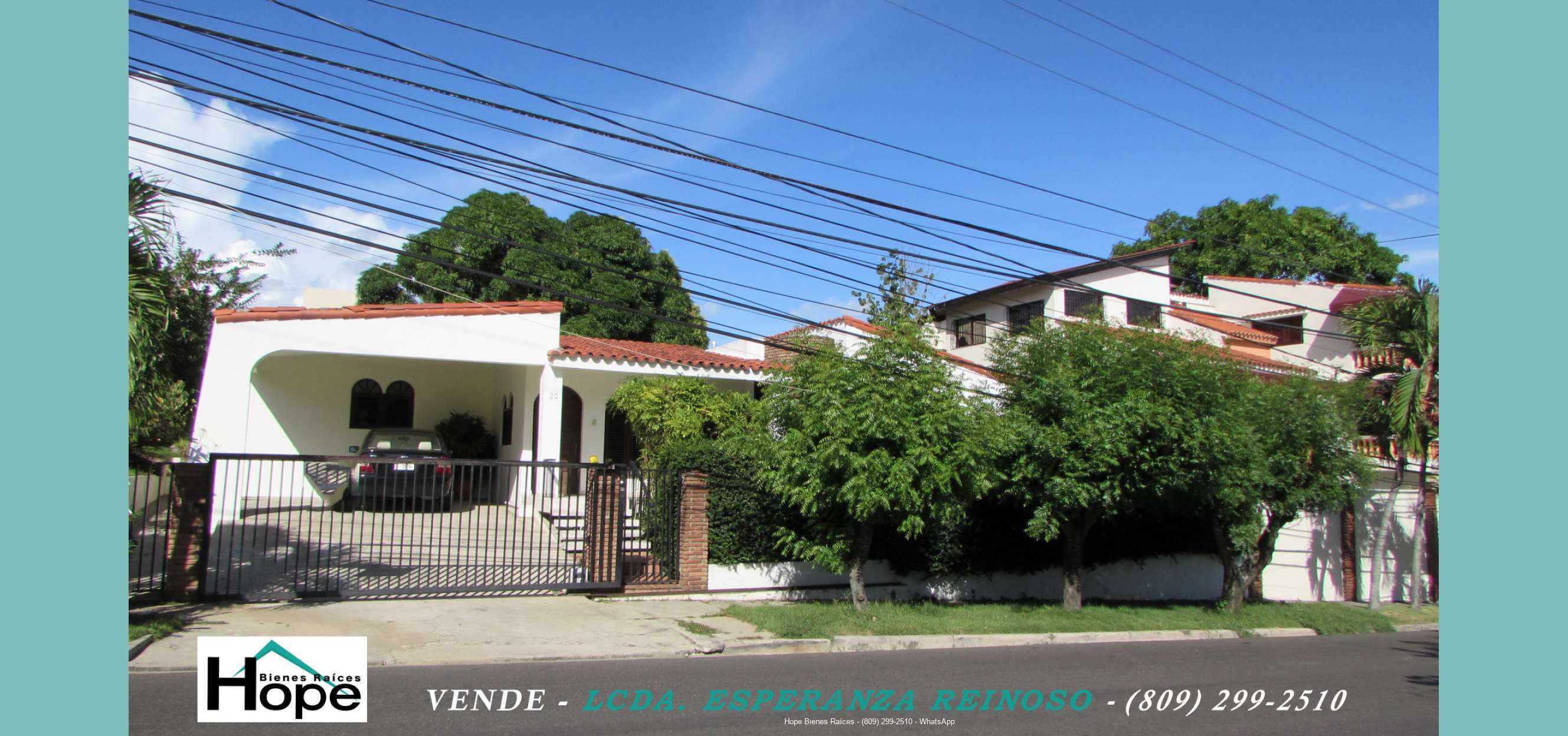 FRENTE