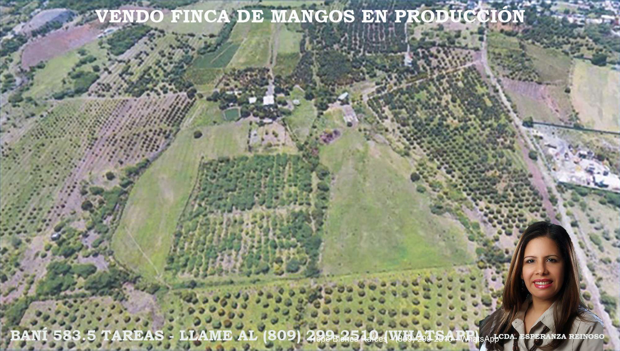 Finca Baní 1