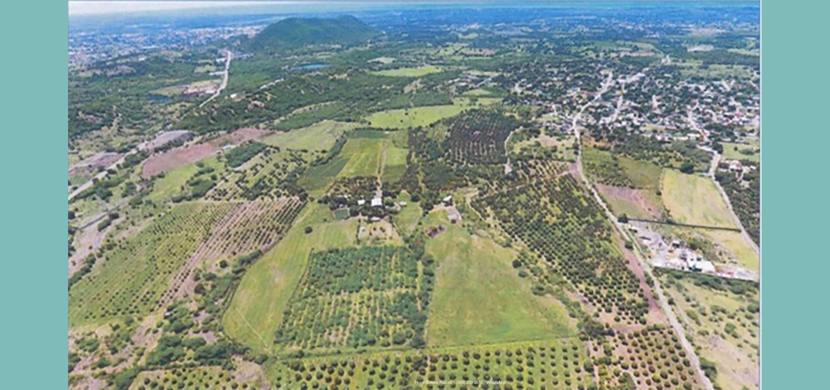 Finca Baní 2