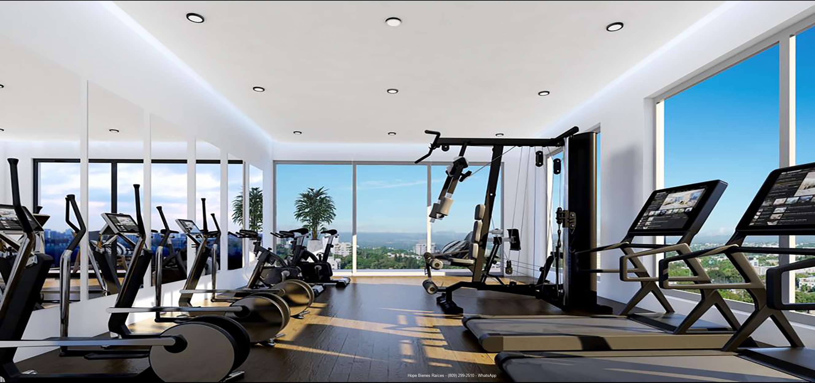 Gimnasio