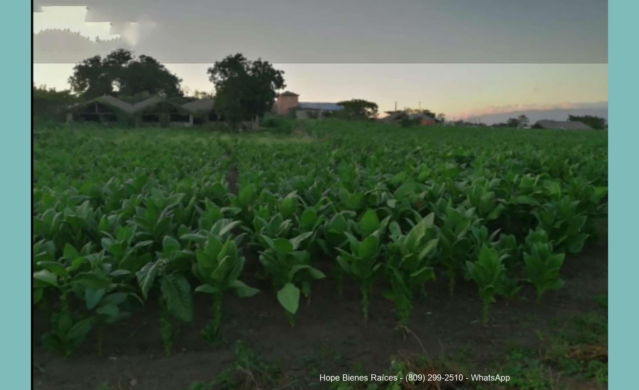 1Finca La Canela