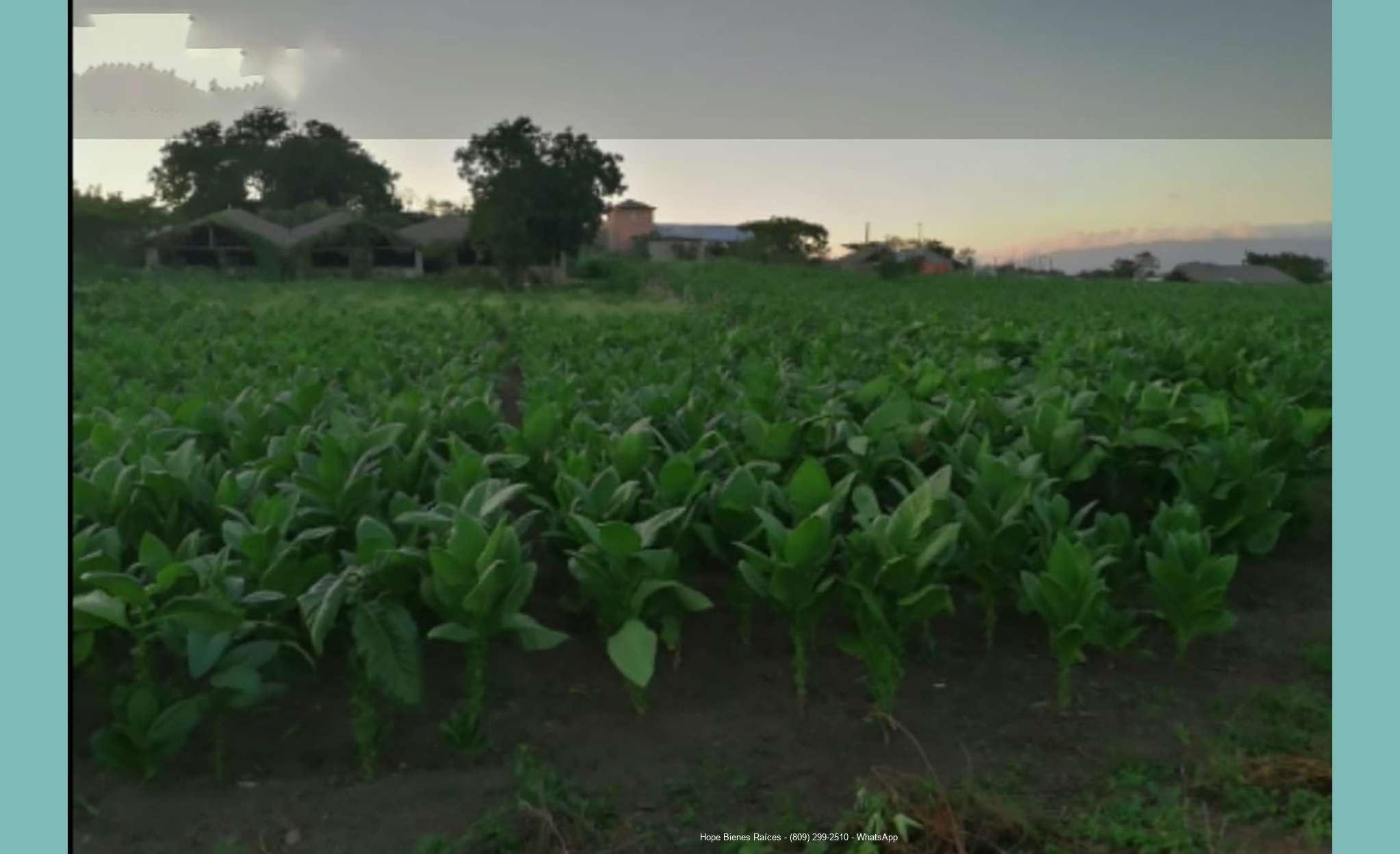 1Finca La Canela
