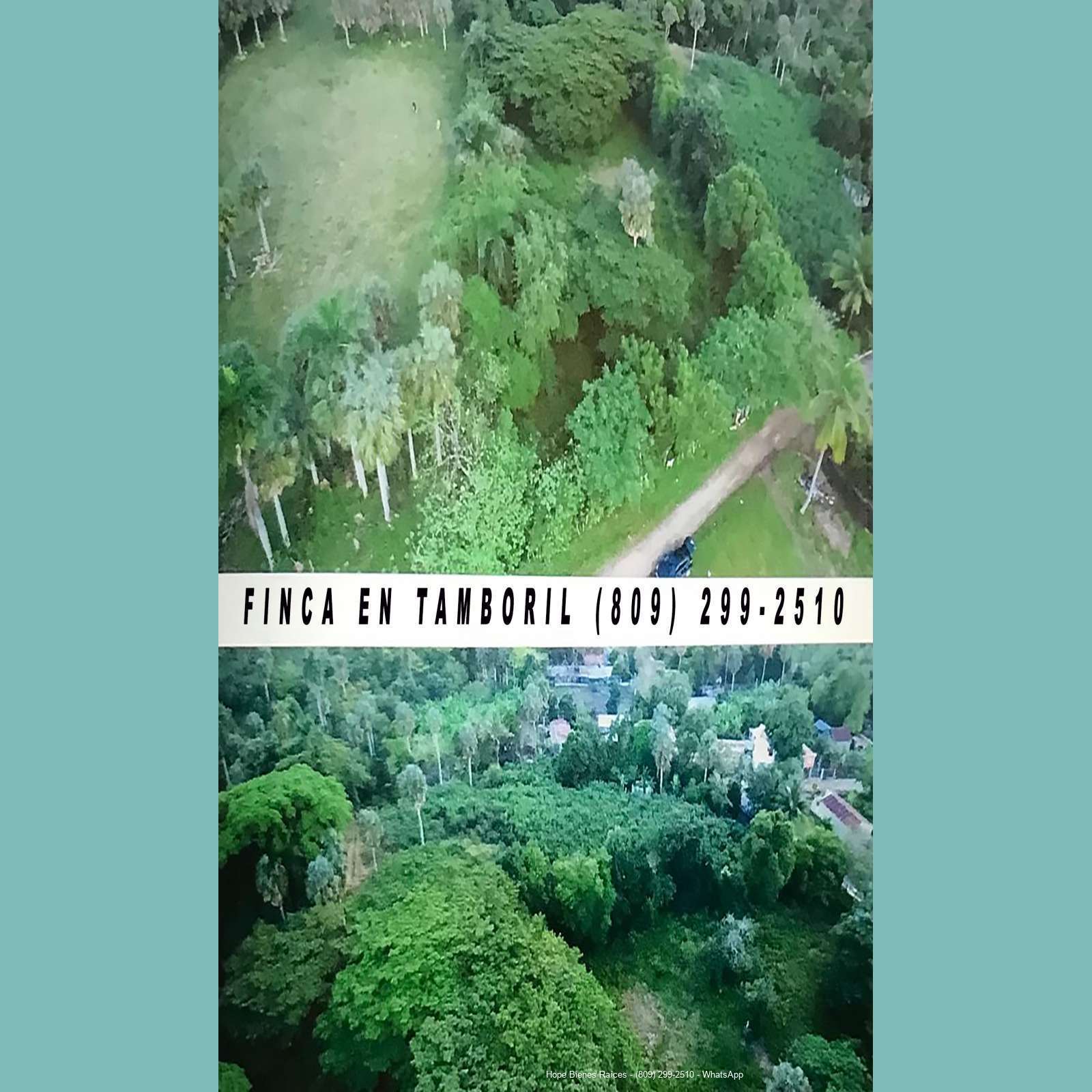 Finca Tamboril 4