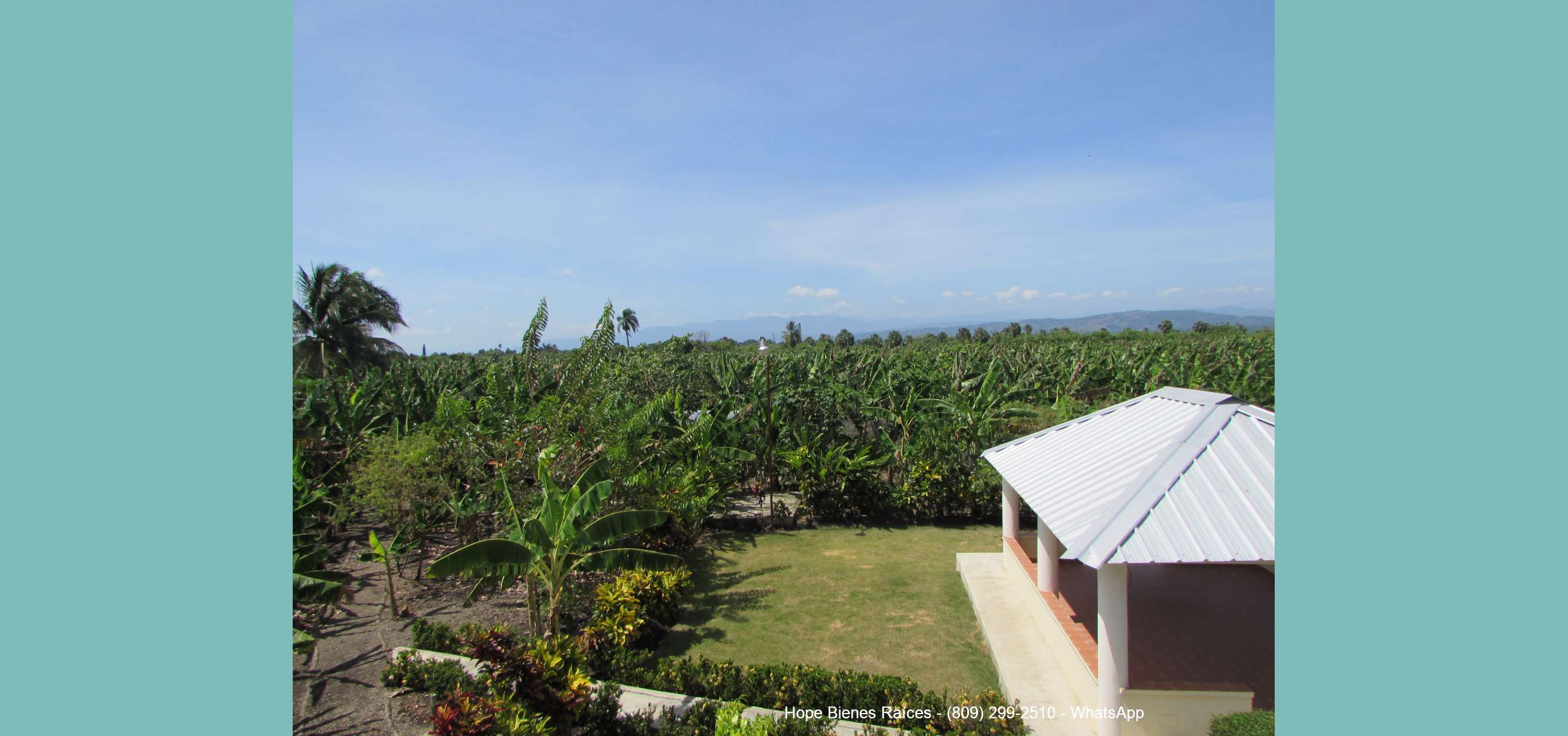 15Vista terraza