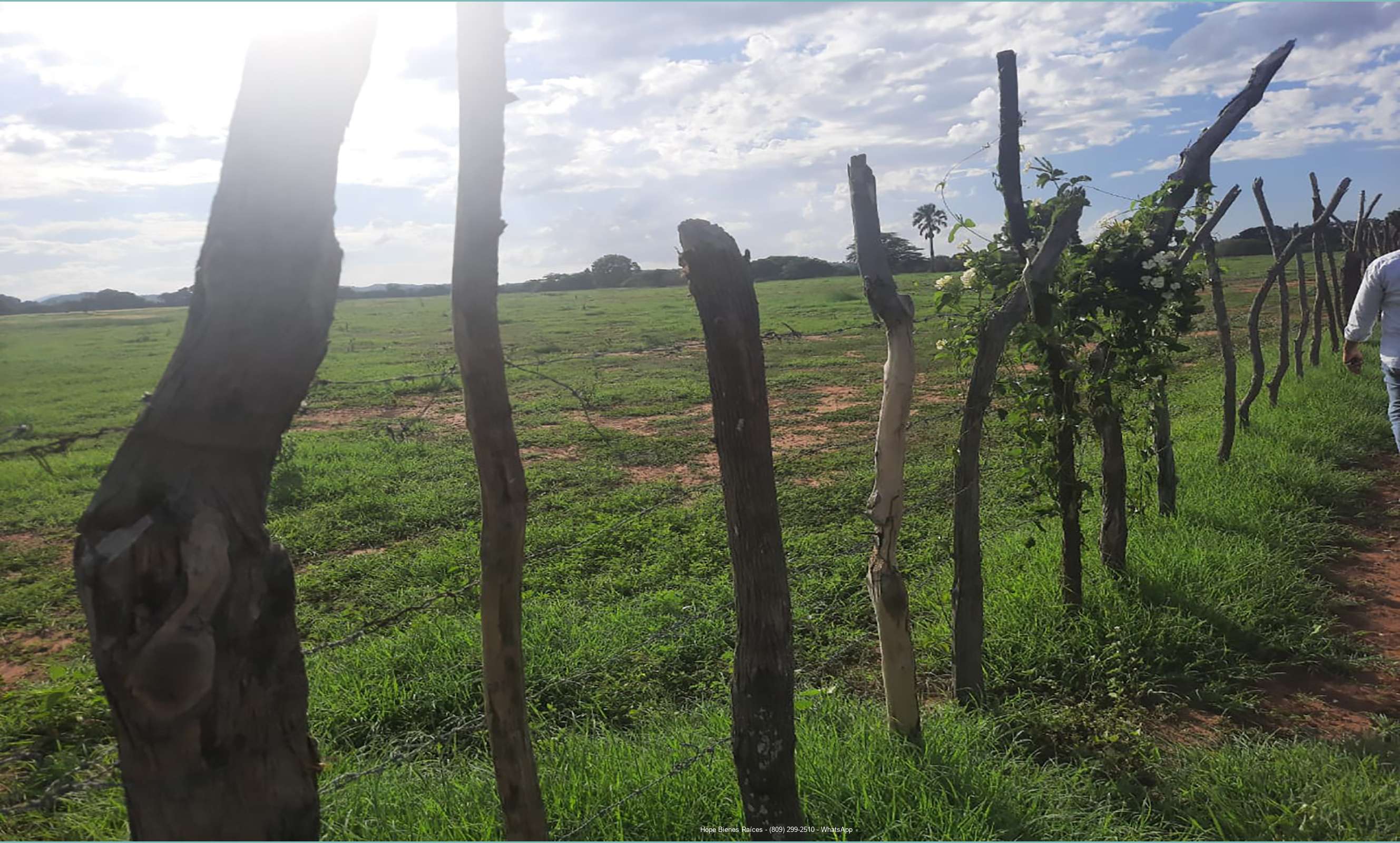 Finca Guayubin - 2178 tareas