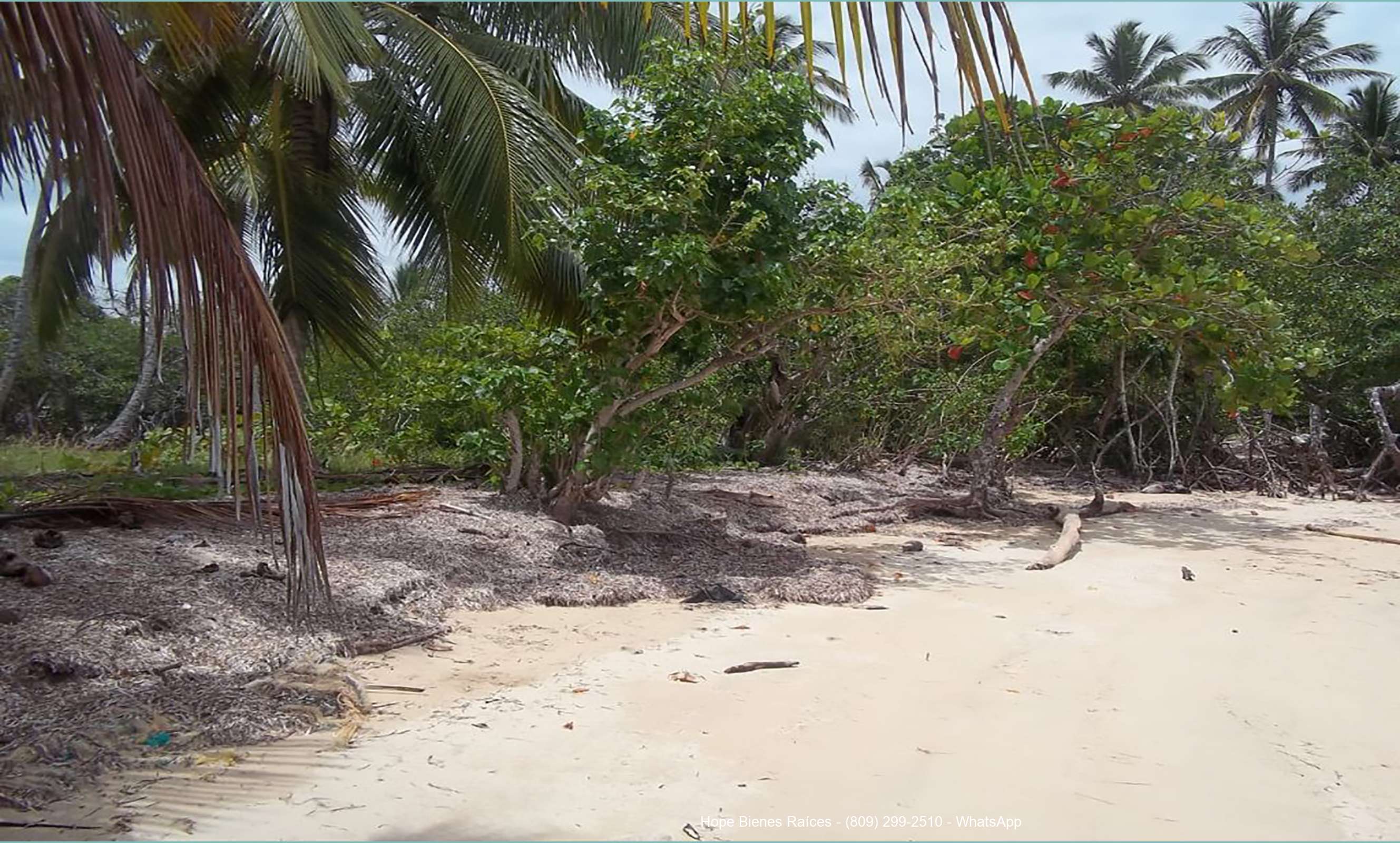 Playa cerca Cosón y Sánchez 6