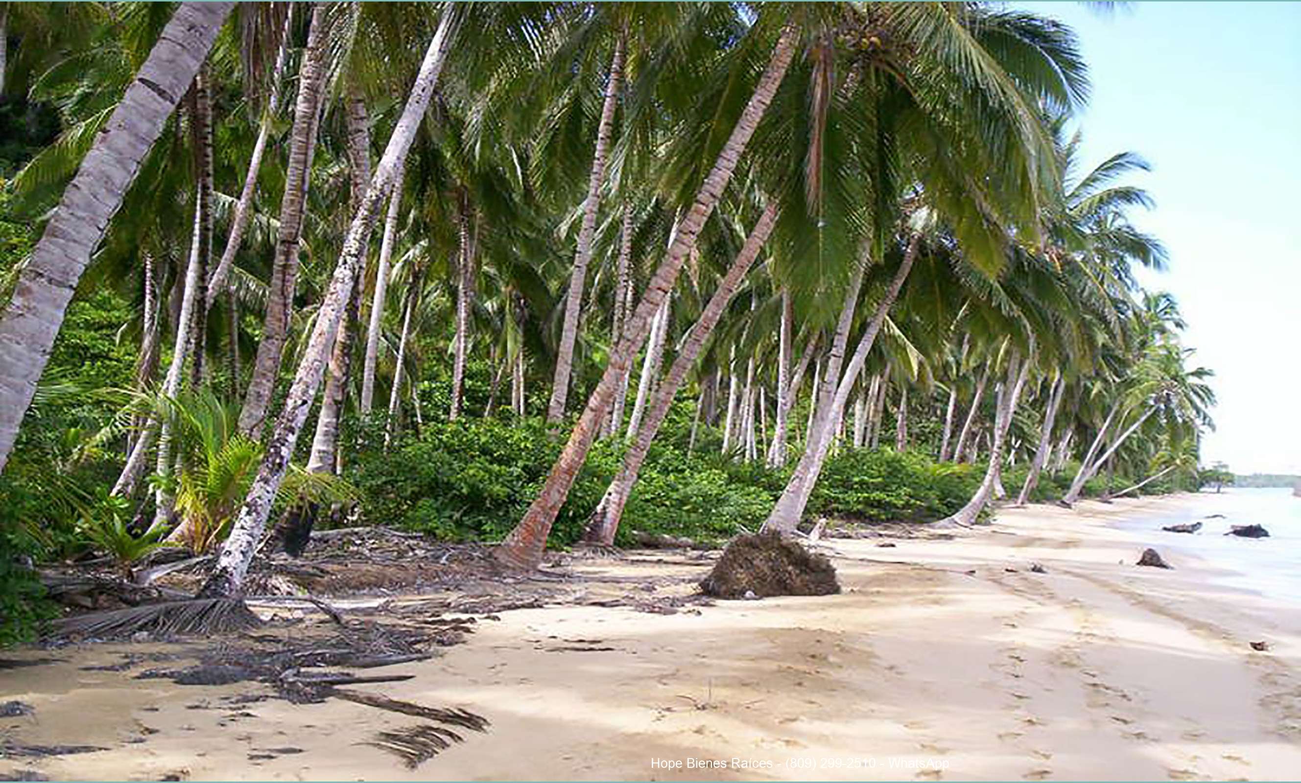 Playa cerca Cosón y Sánchez 7