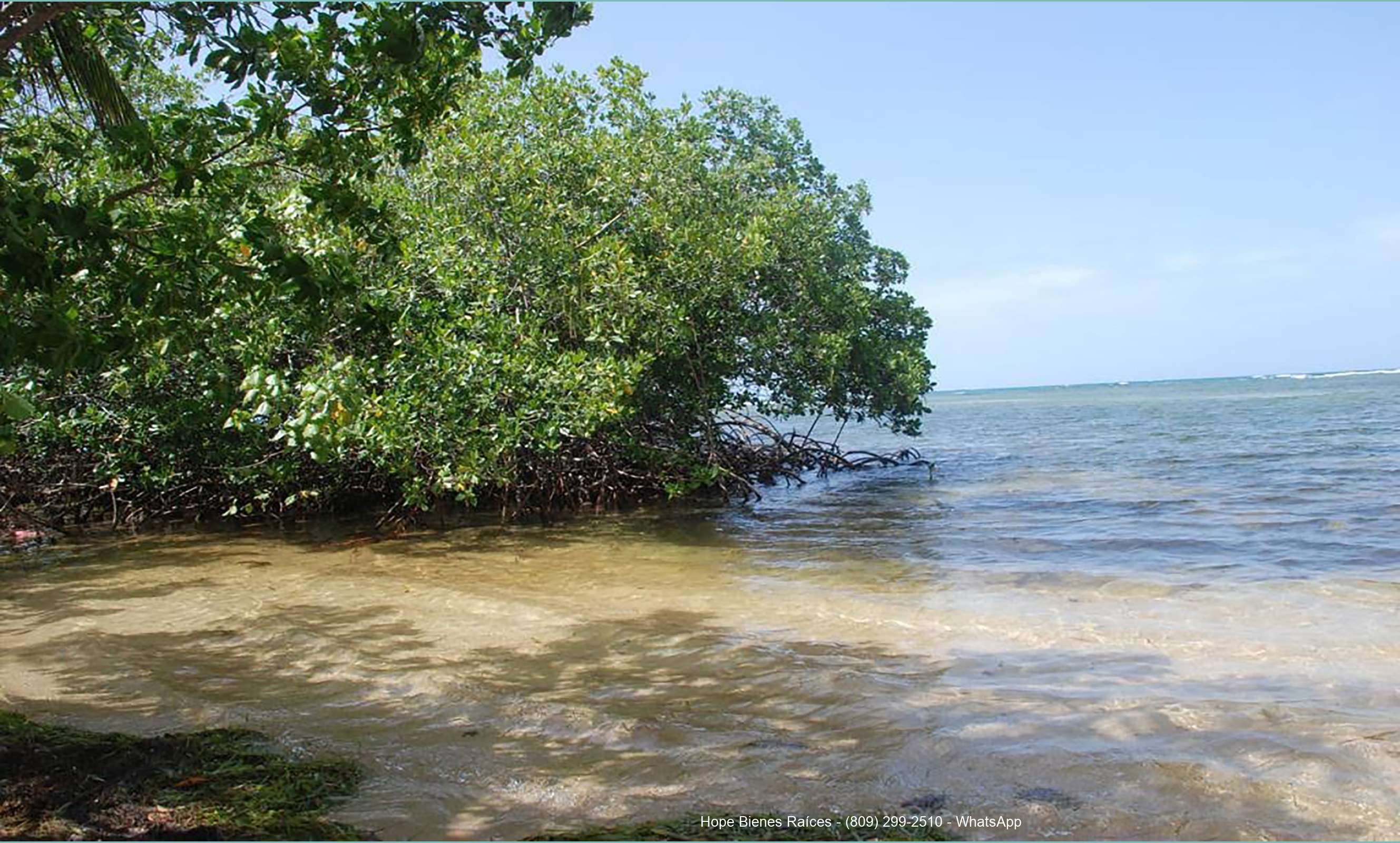Playa cerca Cosón y Sánchez 8