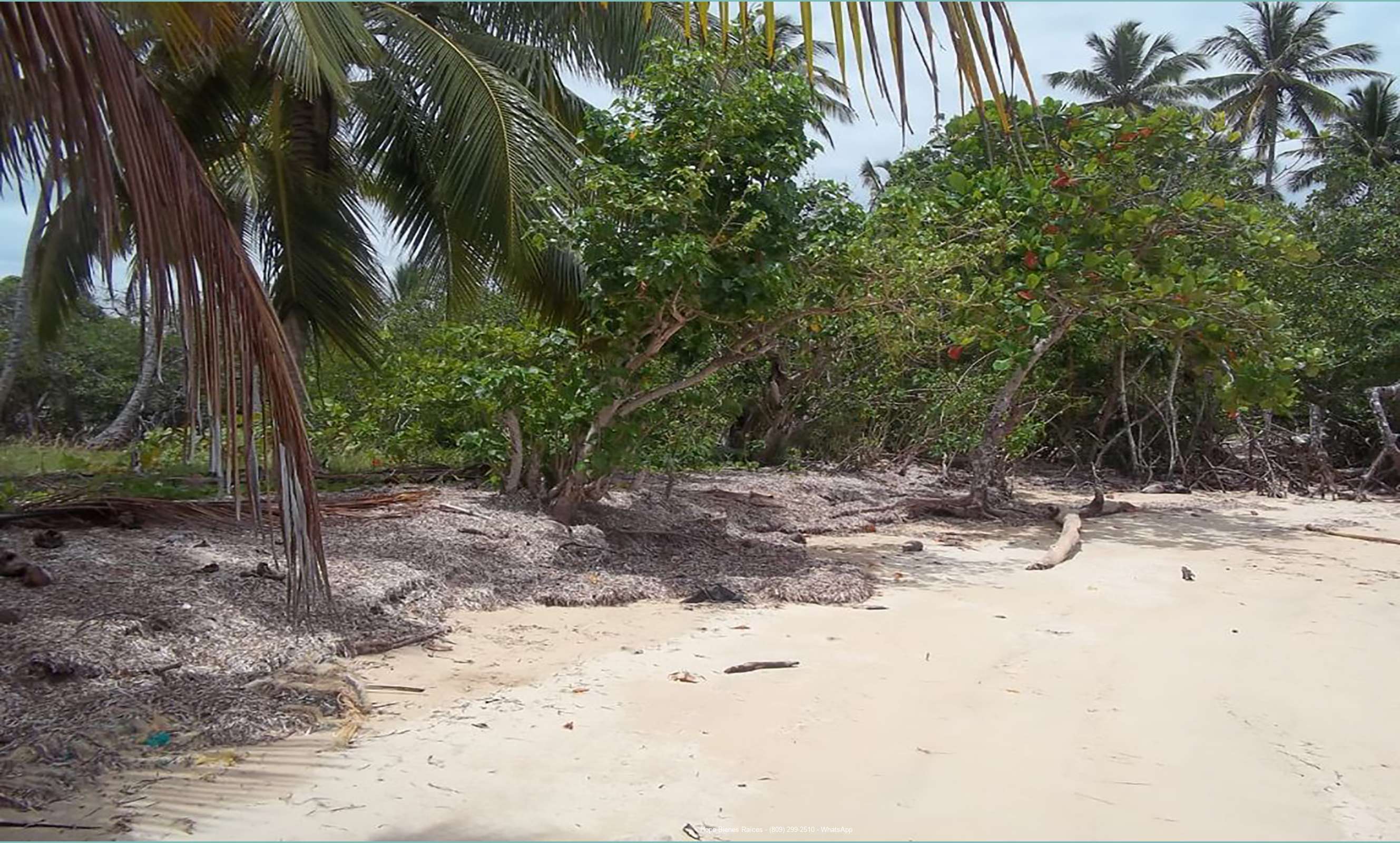 Playa cerca Cosón y Sánchez 6