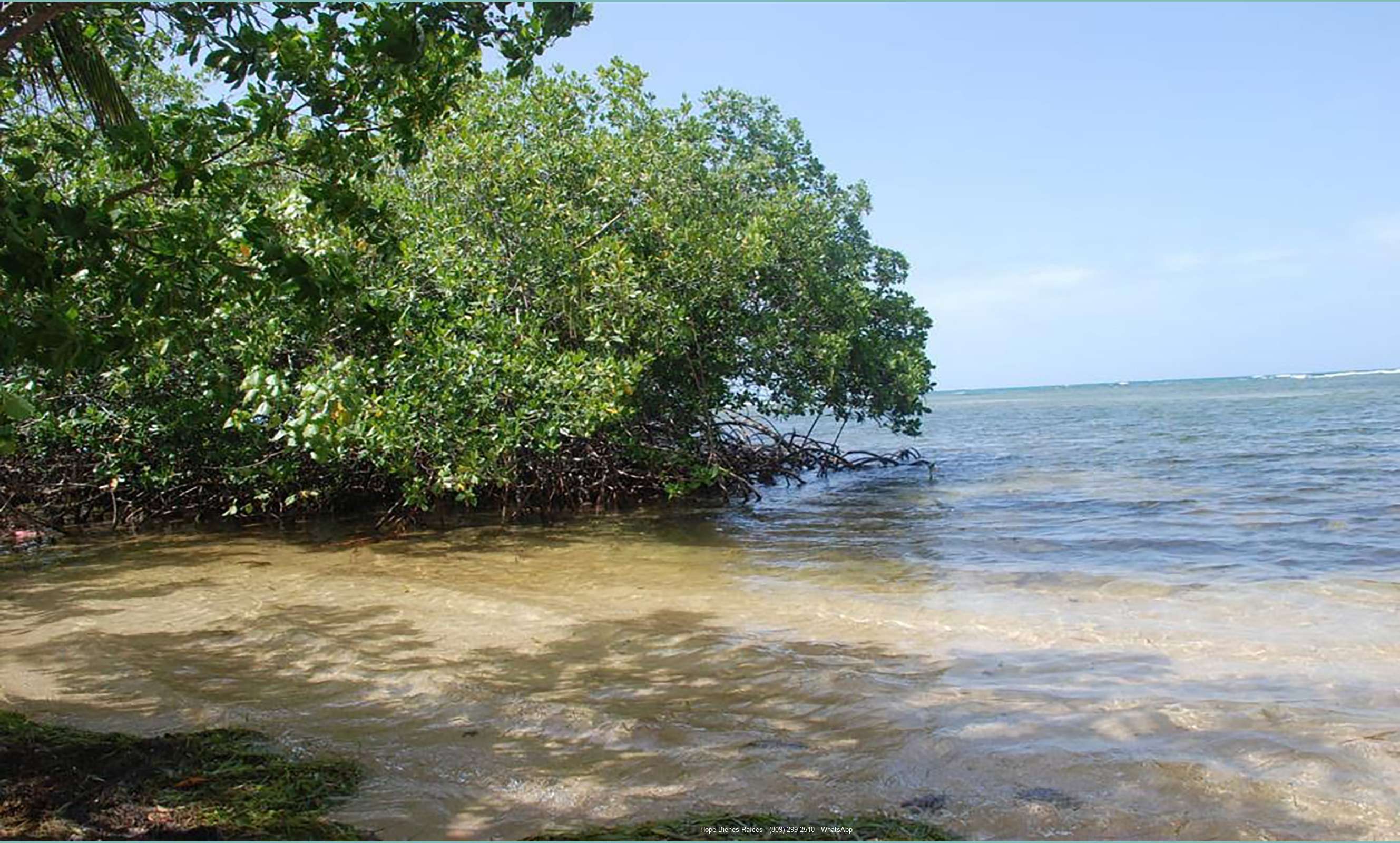 Playa cerca Cosón y Sánchez 8