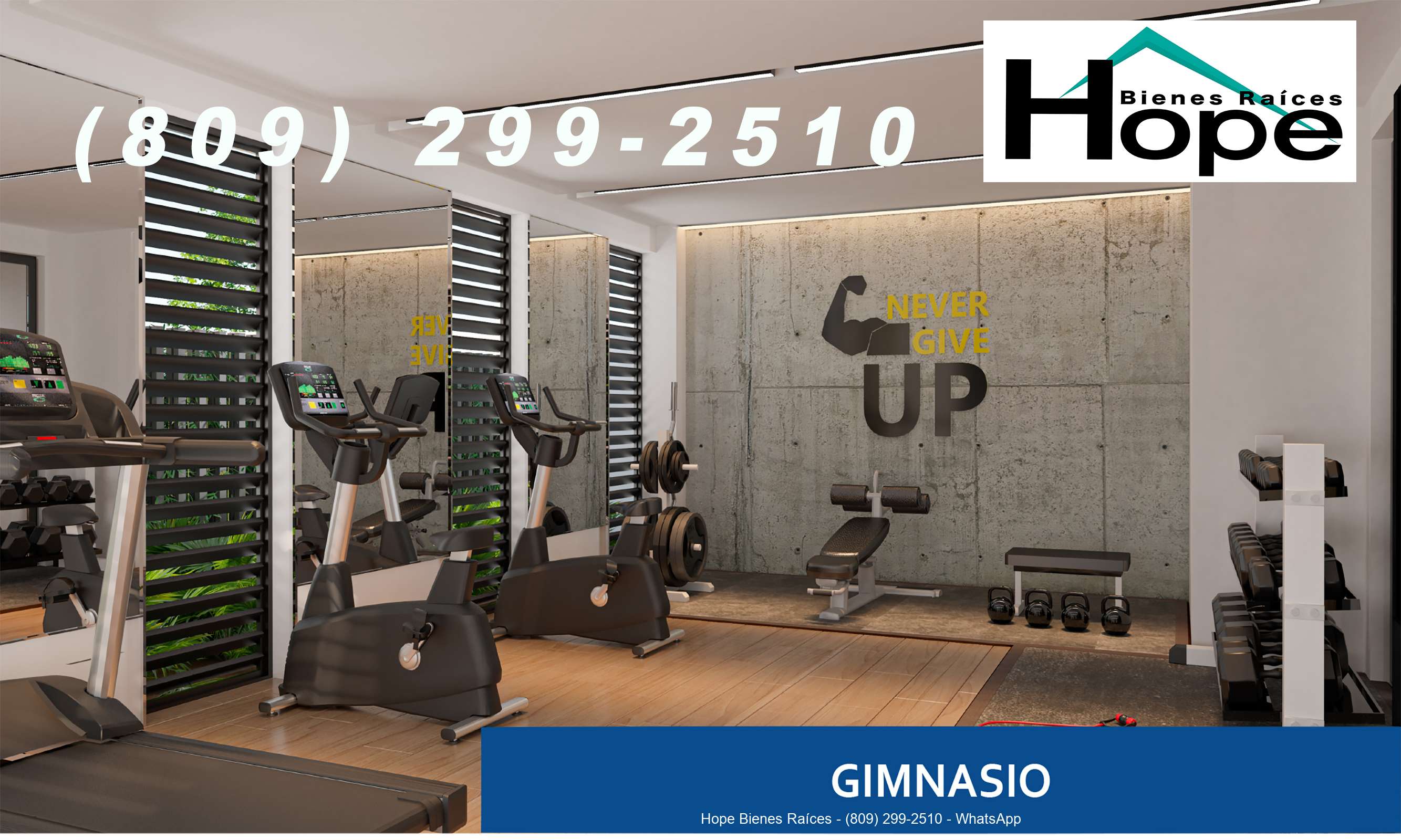 Gimnasio