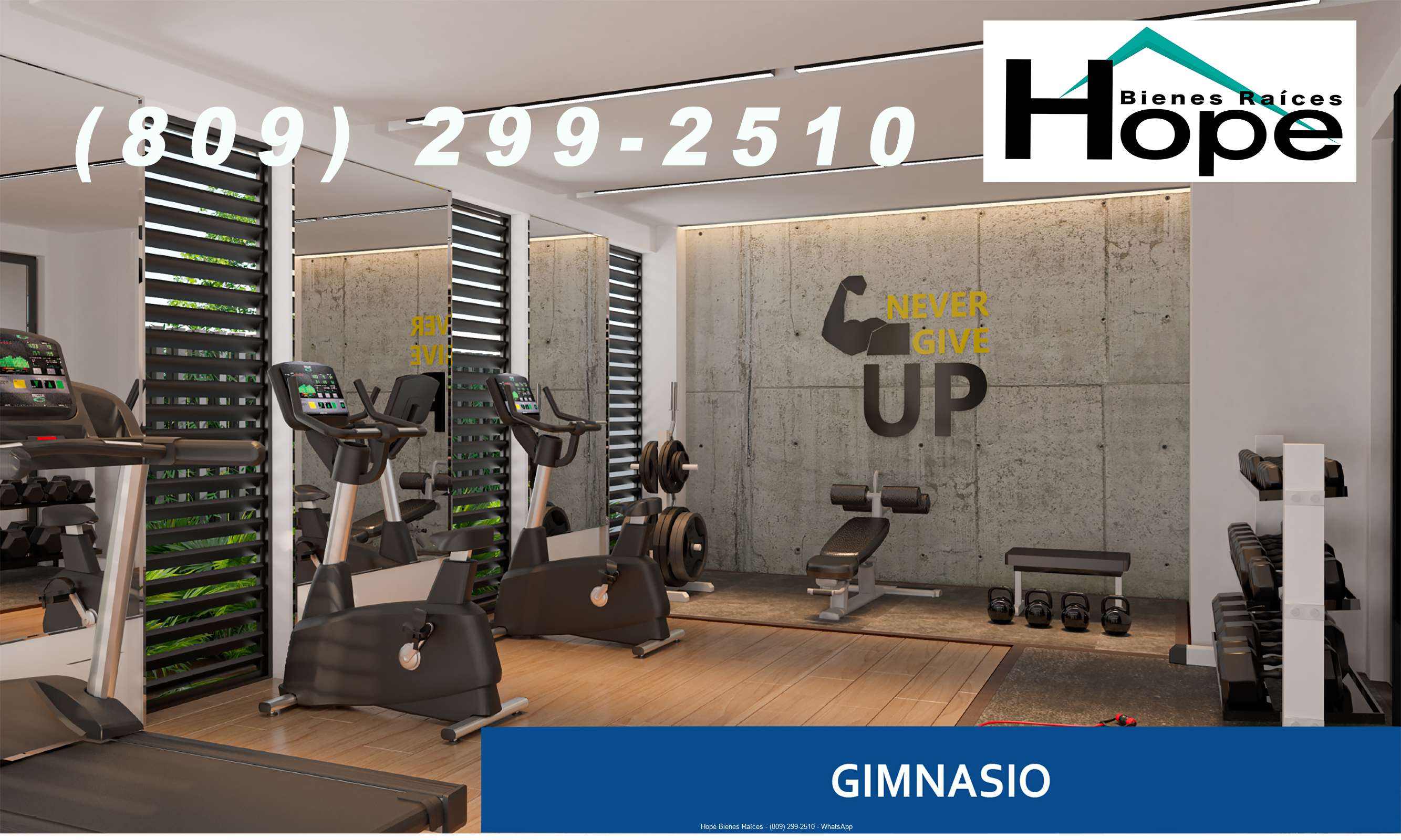 Gimnasio