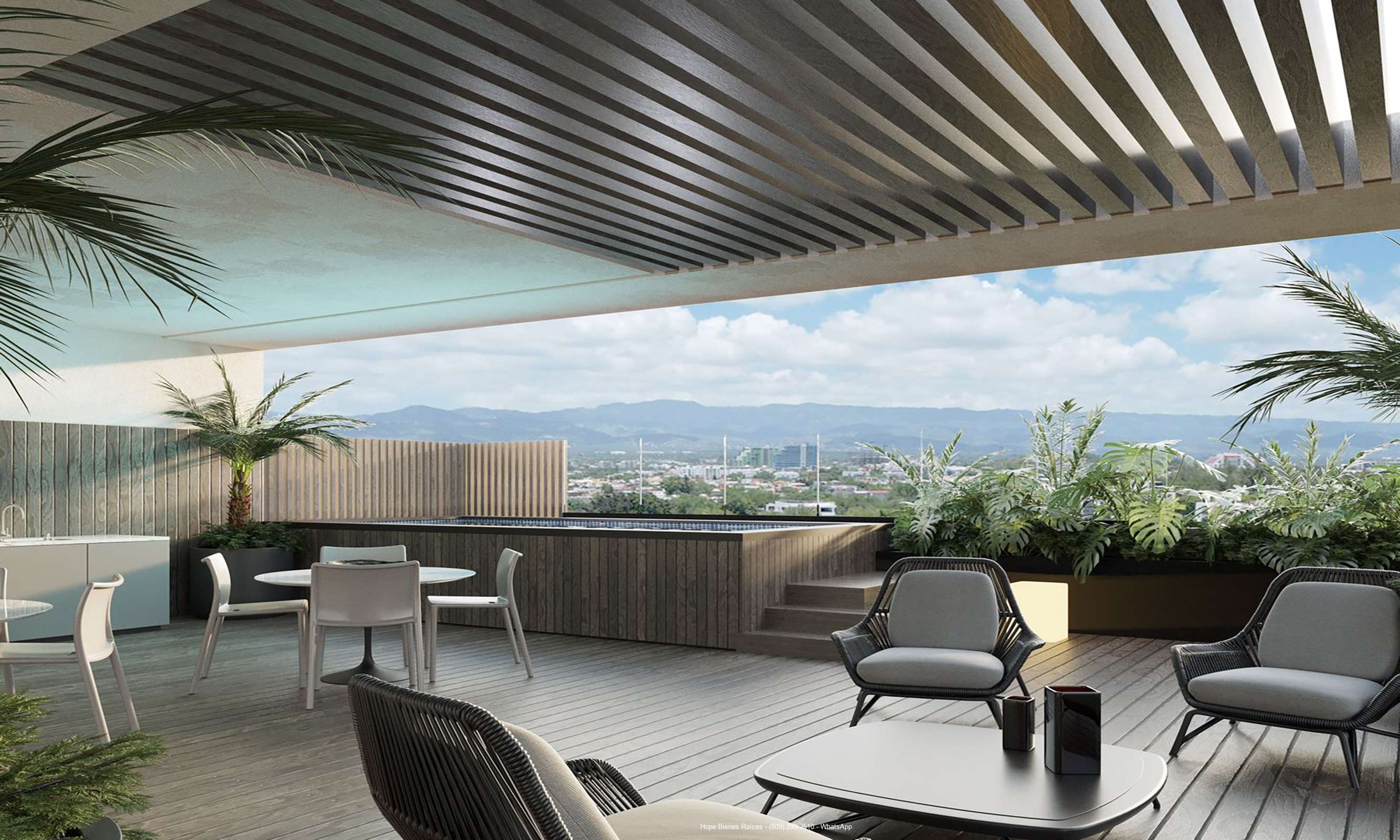 Roof top con picuzi