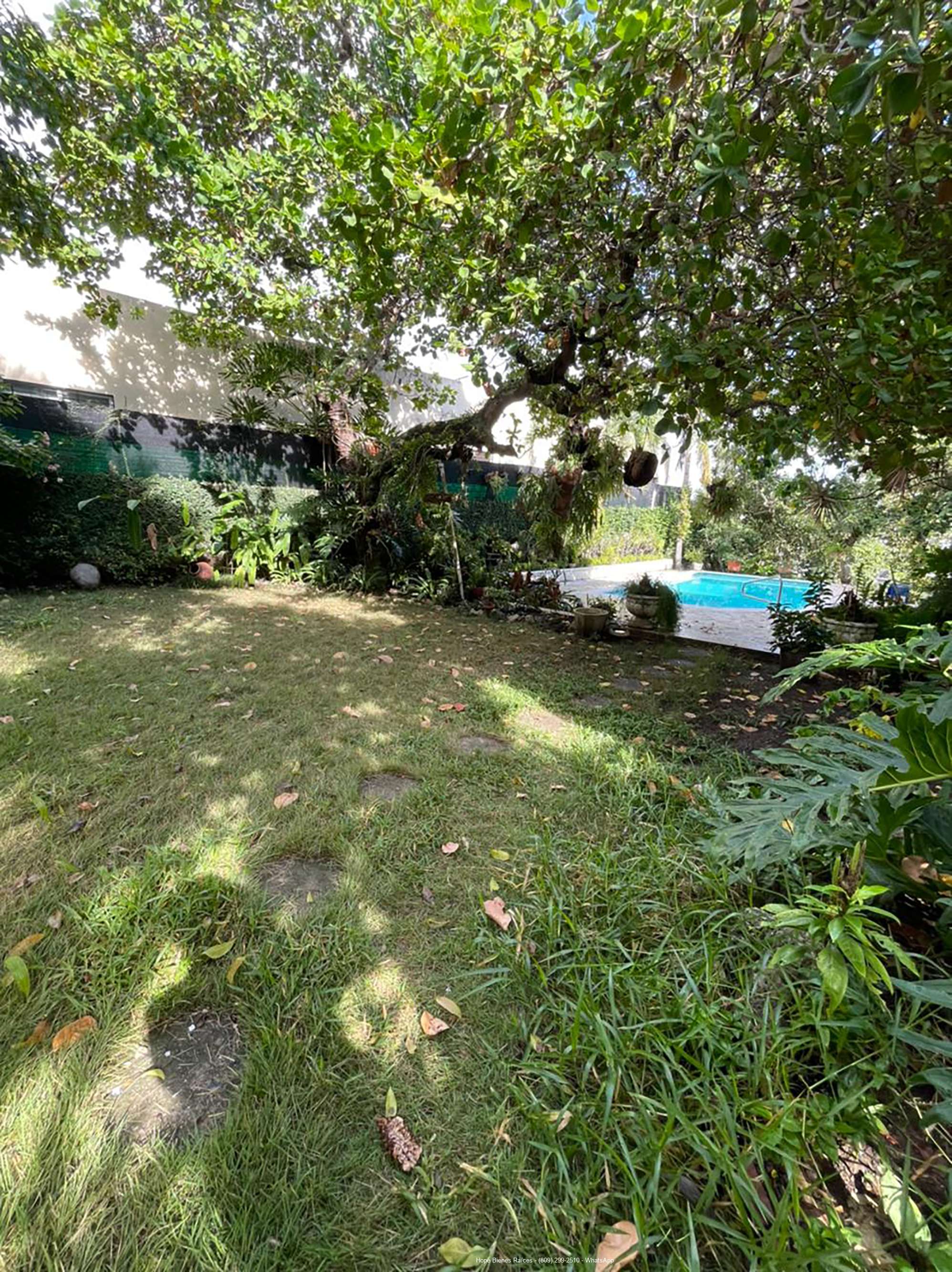 Patio 2